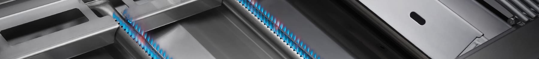 Gas BBQ