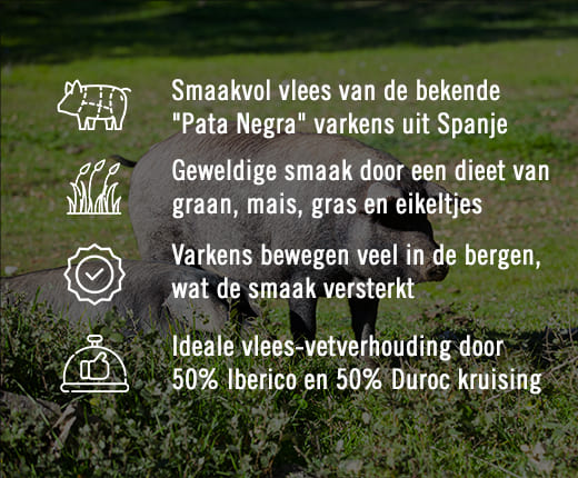 Iberico Varkensrack