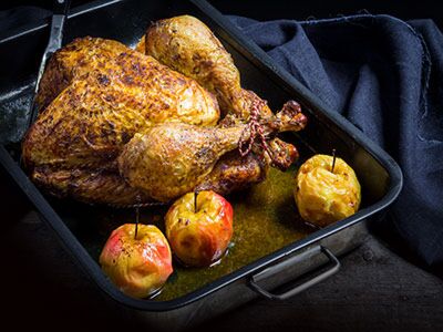 Kelly Bronze Thanksgiving Turkey main product photo