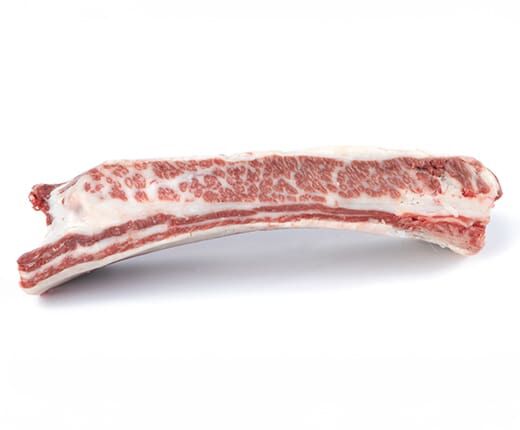 Miguel Vergara Short Rib 1-beens main product photo