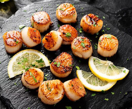 Coquilles main product photo
