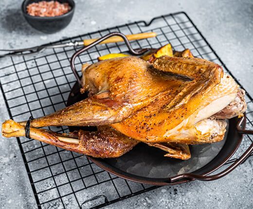 Guinea Fowl main product photo