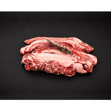 iberico-pluma
