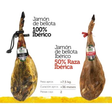 iberico-bellota-jamon