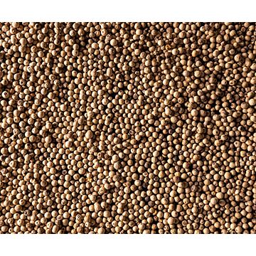 Witte Peper Sarawak (4x20gr)