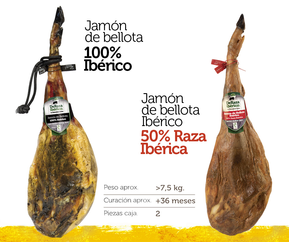 Iberico Bellota Jamon-ca. 9600 gram