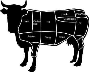 Welk vlees in een koe
